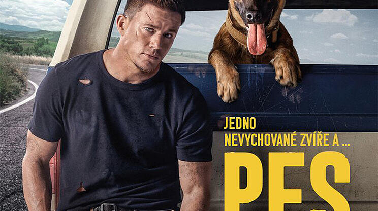 Pes