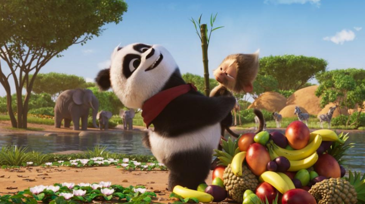 MEDVÍDEK PANDA V AFRICE