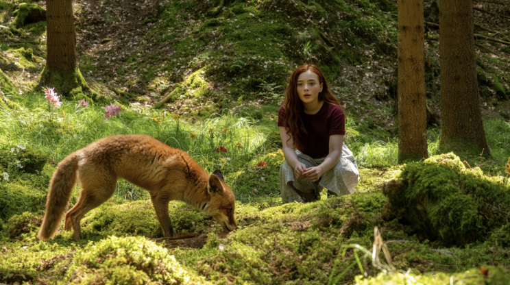 Dívka jménem Willow