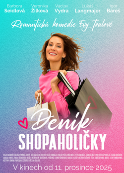 DENÍK SHOPAHOLIČKY