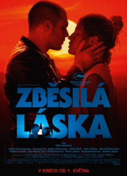 Zběsilá láska