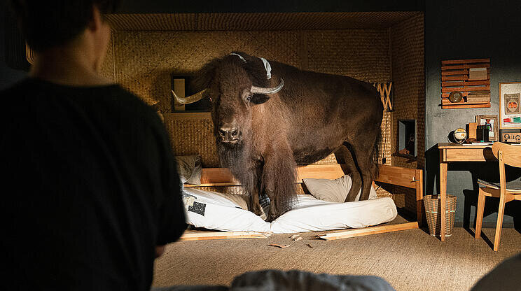 Woodwalkers: Caragova proměna