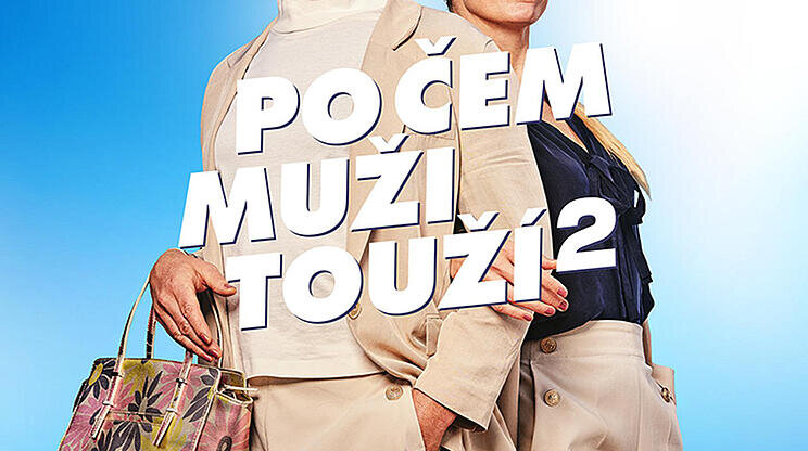 Po čem muži touží 2