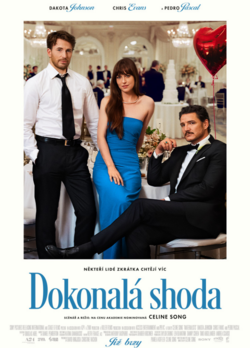 Dokonalá shoda